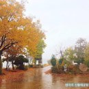 신풍매운탕 이미지