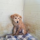 가산2리 이미지