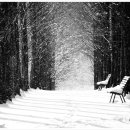 보보스캇 캠핑장 이미지