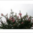 만석공원 이미지