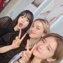 롤로 스포츠경향