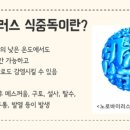 바이러스