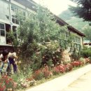 문암초등학교 이미지