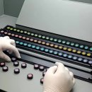 중앙안경 이미지