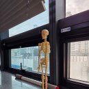 탐스앤짐 이미지