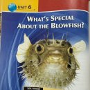 06 What’s Special About The Blowfish? 이미지