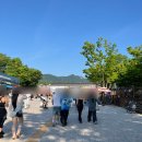 wdf 2026 후기 (먹거리, 주류)