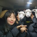 수빈이정거장 이미지