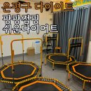 [ 은평구 다이어트 ] 은평구 점핑 다이어트 팡팡 점핑 쉬운 다이어트 후기