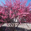 방축골농장 이미지