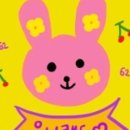 유니드삭스 이미지