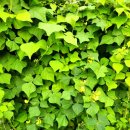 상서재1로 이미지