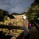 봉황섬터 | [2025년 하반기] 창덕궁 달빛기행 후기 - 진행 순서, 제공 다과 종류 및 팁