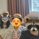 봉황사우나 | 경북 경주여행 ㅣ 불국사, 코오롱 호텔