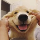 신당동옛날떡볶이 네이버블로그
