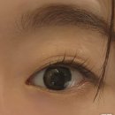 아이패밀리 안경원(구로디지털점) | 투톤렌즈 시티팝 웜톤 브라운렌즈 아이패밀리 위드렌즈 구로디지털점