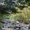 다슬기 유치원 | [부산 가벼운 나들이] 부산 도심 속 계곡 - 장산계곡 솔직 후기