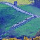 삼삼오오목장 이미지