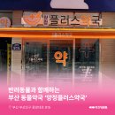 양정플러스약국 이미지