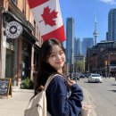 영어하는애나 | 구미대표 온라인 영어회화🔥재수강 후기, 애나잉글리쉬 구미점🧡