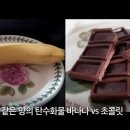 바나나 vs 초콜릿 혈당 비교 이미지