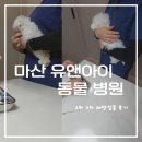 유동물병원 | 창원 마산 유앤아이 동물병원에서 아기 강아지 예방접종 후기