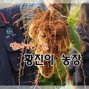 축진농장 이미지