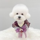 몽트라슈 이미지