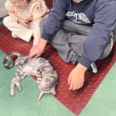 (주)트리플에이게임즈 | 인천가볼만한곳 추천! 11살 7살 남매가 반해버린 송도 테이블 에이 앤 우쥬(실내동물원)