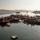 남당항(선착장) 이미지