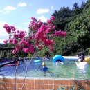 화원펜션 이미지