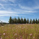 갯골생태공원(해수체험장) 이미지