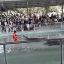 지누농장 이미지