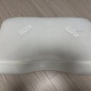 템퍼 경추 베개 추천 밀레니엄베개 S사이즈 내돈내산 후기