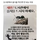 도서관에서 음식을 먹으면 안되는 이유 이미지