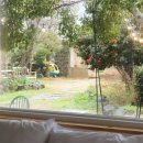 오소록헌디 이미지