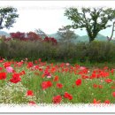 지리산허브밸리 이미지