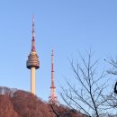 남산숲속여행길 | 남산 하늘숲길 서울 남산타워 노을 데이트 코스 추천