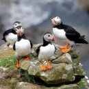 너울농장 | 무인도인데 매년 10만 명이 찾는다-세계 여행자 버킷리스트 1순위 [제임스골드 여행]