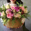 스펠로플라워