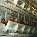 여러분축산 이미지