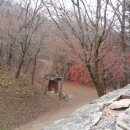 새재의아침 이미지