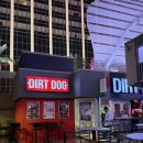 the 굿 dog | 라스베가스 핫도그 맛집 DIRTDOG 플라밍고호텔 근처 간식 추천