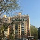 압구정-117 이미지