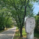 도암교회 | &lt;한티 가는 길 1&gt; 그대 어디로 가는가 1구간 돌아보는 길 10.5km 4시간30분 칠곡 가실성당 ~ 신나무골...