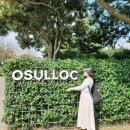 鄕(향2001-10 | 제주 오설록 티 뮤지엄, 이니스프리 카페 후기 | 말차 덕후라면 꼭 가봐야 할 제주 서쪽 여행 코스