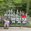 서울대공원 캠핑장 | 서울 근교 아이와 계곡 피크닉 서울대공원 캠핑장 캠프닉 후기