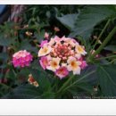 둘리농장 이미지