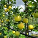 골드농장 이미지