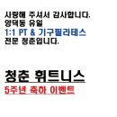 청춘P.T